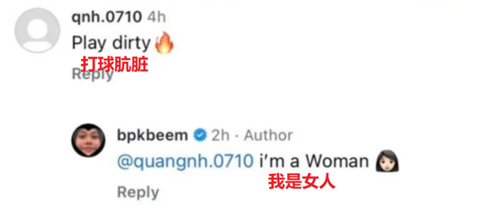 对于阮氏碧 对于阮氏碧